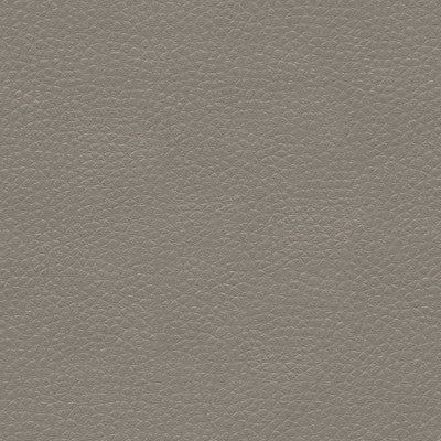 Metaliskin Pewter by Kravet Couture Fabric