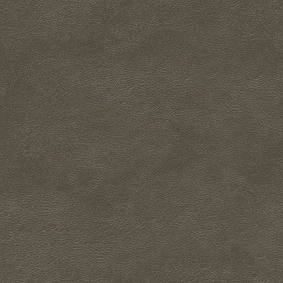 Metals Pewter by Kravet Couture Fabric