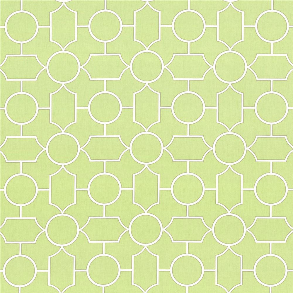 Mezzanine Celadon by Kasmir Fabric 5082 100% Cotton
 TURKMENISTAN 30,000 Wyzenbeek Double Rubs </p><p>Repeat: Horizontal: 9 inches and Vertical: 9 inches 54 - Fabric Carolina -