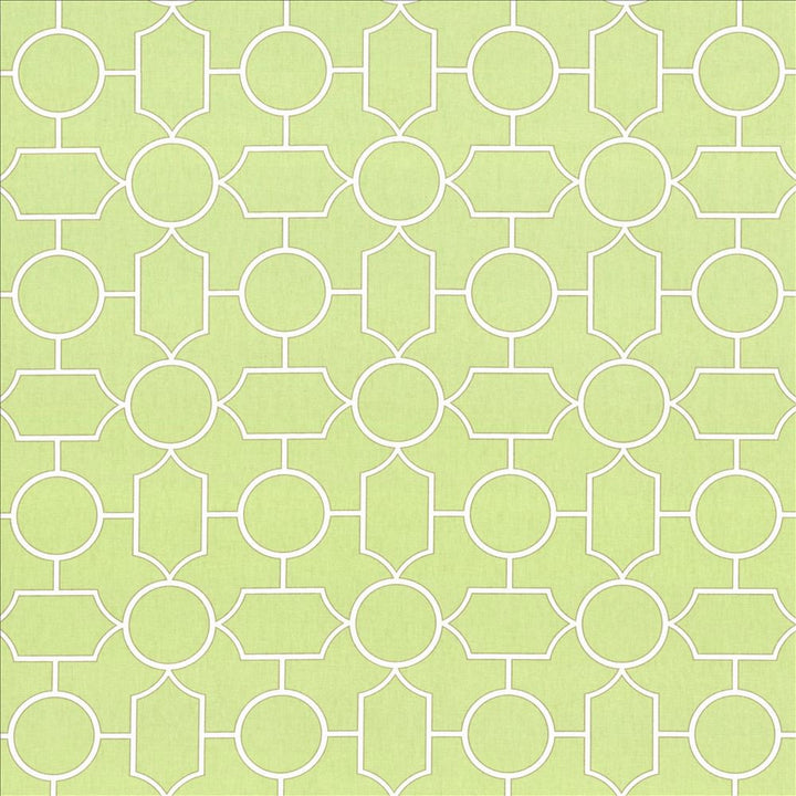 Mezzanine Celadon by Kasmir Fabric 5082 100% Cotton
 TURKMENISTAN 30,000 Wyzenbeek Double Rubs </p><p>Repeat: Horizontal: 9 inches and Vertical: 9 inches 54 - Fabric Carolina -