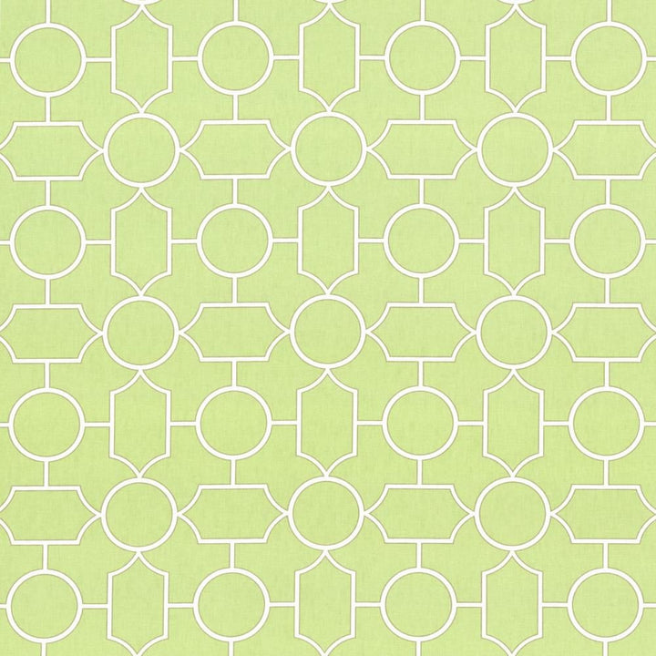 Mezzanine Celadon by Kasmir Fabric 5082 100% Cotton
 TURKMENISTAN </p><p>Repeat: Horizontal: 9 inches and Vertical: 9 inches 54 - Fabric Carolina -