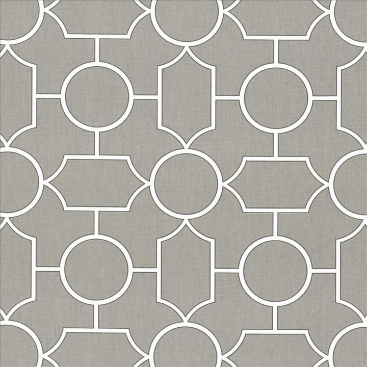 Mezzanine Graphite by Kasmir Fabric 5078 100% Cotton
 TURKMENISTAN </p><p>Repeat: Horizontal: 9 inches and Vertical: 9 inches 54 - Fabric Carolina -