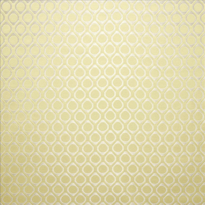 Miley Champagne by Kasmir Fabric 5147 70% Polyester
30% Cotton
 INDIA 13,000 Martindale Cycles </p><p>Repeat: Horizontal: 1 1/8 inches and Vertical: 1 4/8 inches 54 - Fabric Carolina -