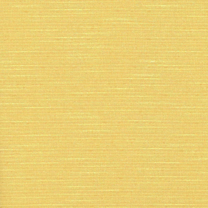 Milo Texture Sundrops by Kasmir Fabric 5069 TAIWAN 100,000 Wyzenbeek Double Rubs H: N/A, V:N/A 54 - 56 - Fabric Carolina - Kasmir