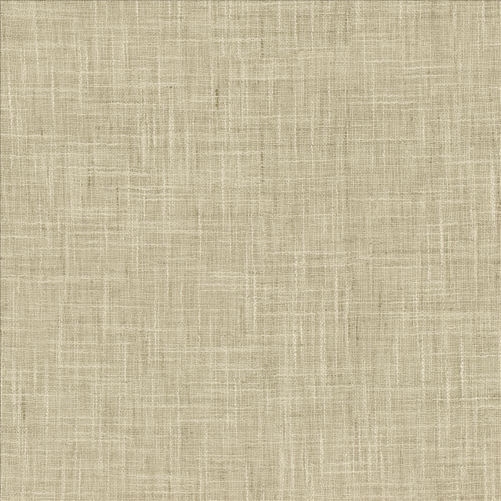 Mina Texture Ash by Kasmir Fabric 5181 100% Polyester
 INDIA Not Tested </p><p>Repeat: Horizontal: N/A and Vertical: N/A 54 - Fabric Carolina -