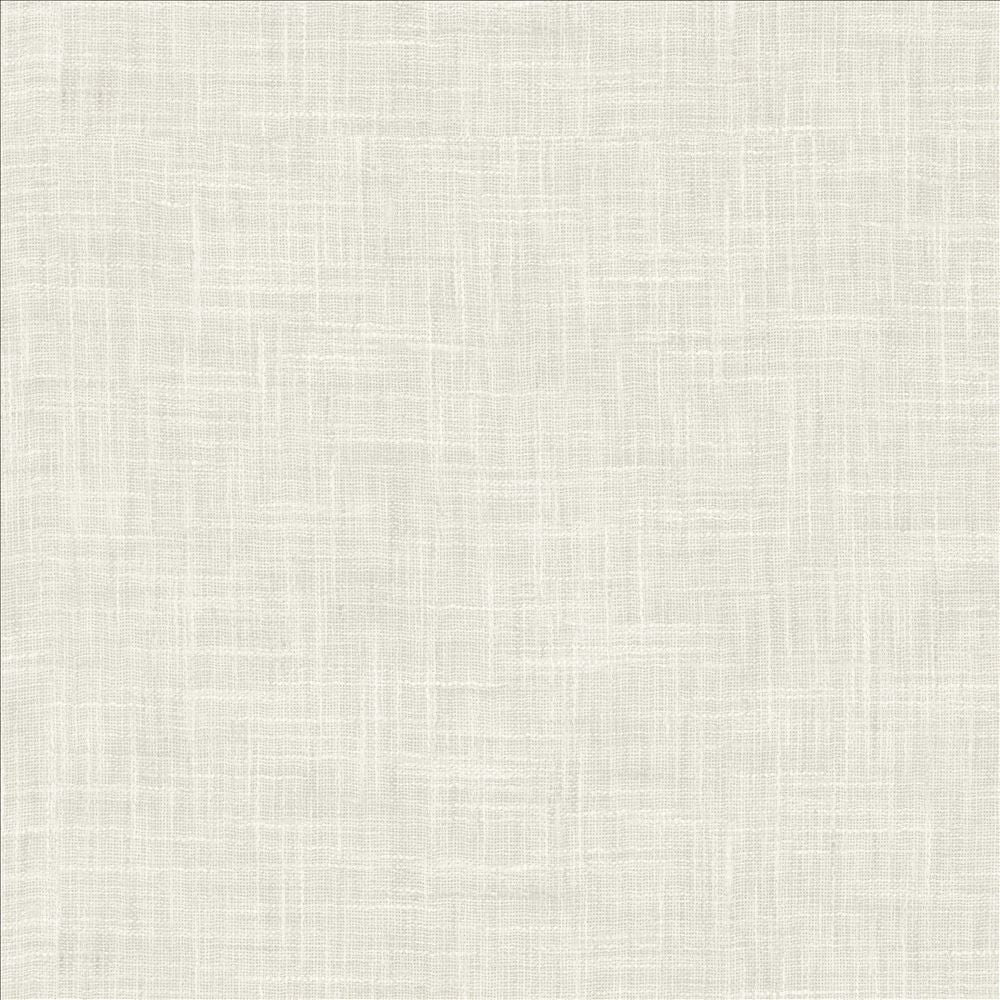 Mina Texture Coconut by Kasmir Fabric 5181 100% Polyester
 INDIA Not Tested </p><p>Repeat: Horizontal: N/A and Vertical: N/A 54 - Fabric Carolina -