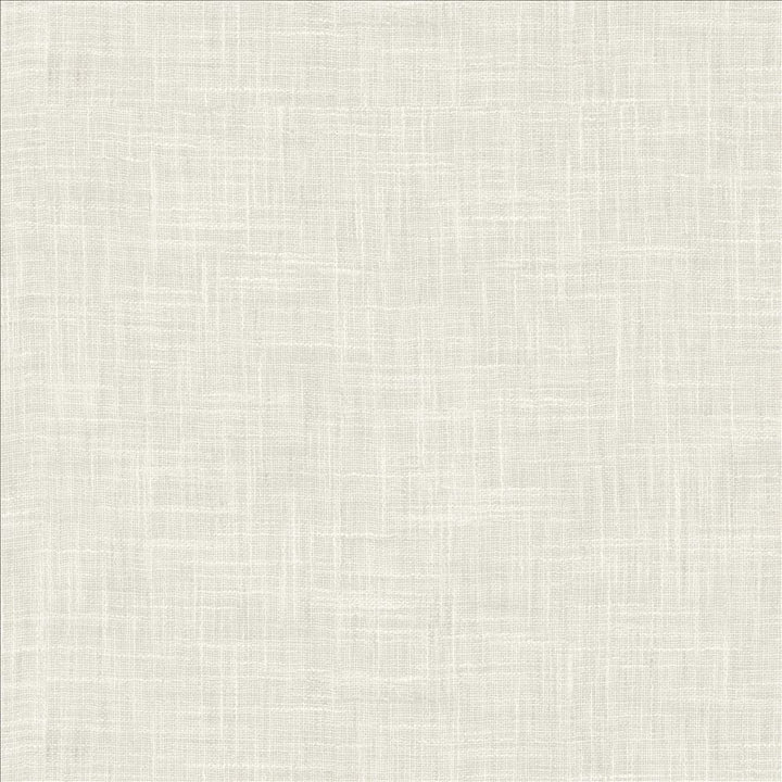Mina Texture Coconut by Kasmir Fabric 5181 100% Polyester
 INDIA Not Tested </p><p>Repeat: Horizontal: N/A and Vertical: N/A 54 - Fabric Carolina -