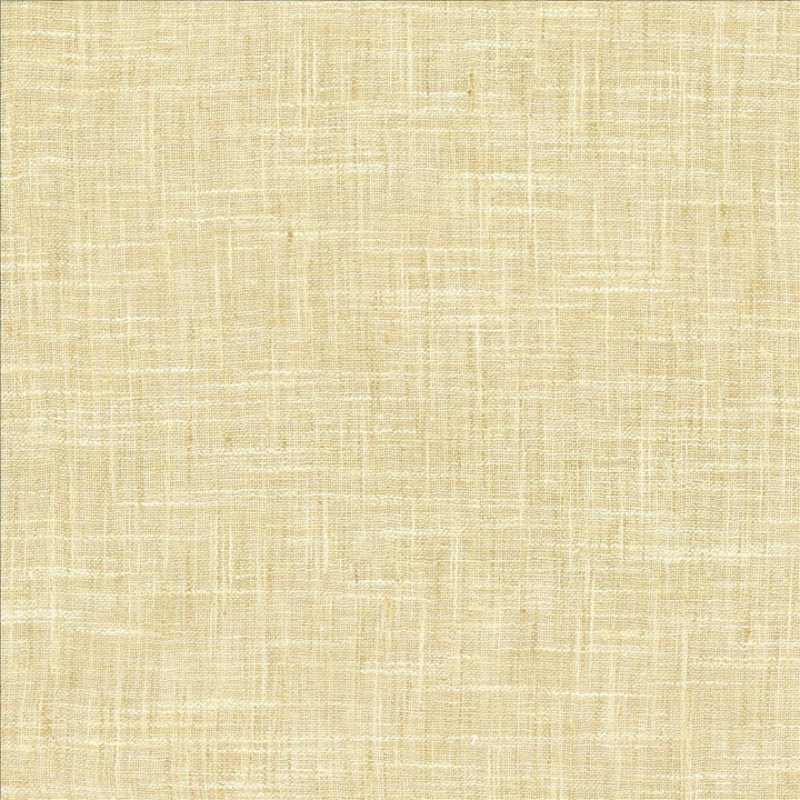Mina Texture Oatmeal by Kasmir Fabric 5181 100% Polyester
 INDIA Not Tested </p><p>Repeat: Horizontal: N/A and Vertical: N/A 54 - Fabric Carolina -