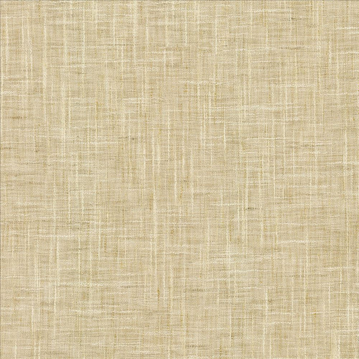 Mina Texture Taupe by Kasmir Fabric 5181 100% Polyester
 INDIA Not Tested </p><p>Repeat: Horizontal: N/A and Vertical: N/A 54 - Fabric Carolina -
