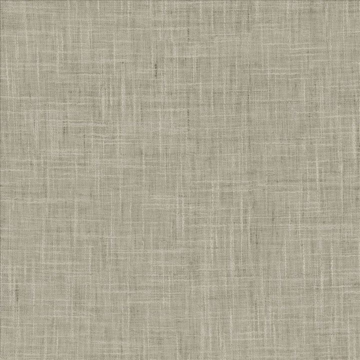 Mina Texture Ash by Kasmir Fabric 5181 100% Polyester
 INDIA </p><p>Repeat: Horizontal: N/A and Vertical: N/A 54 - Fabric Carolina -