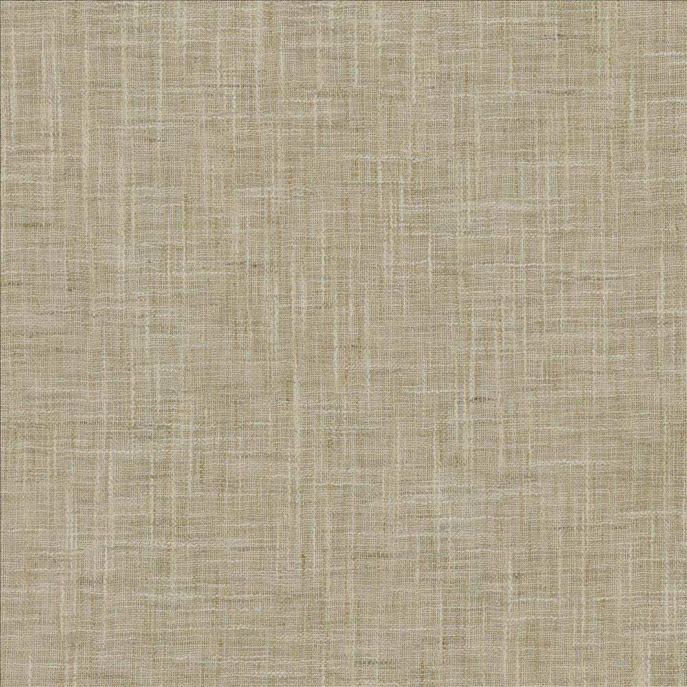 Mina Texture Taupe by Kasmir Fabric 5181 100% Polyester
 INDIA </p><p>Repeat: Horizontal: N/A and Vertical: N/A 54 - Fabric Carolina -