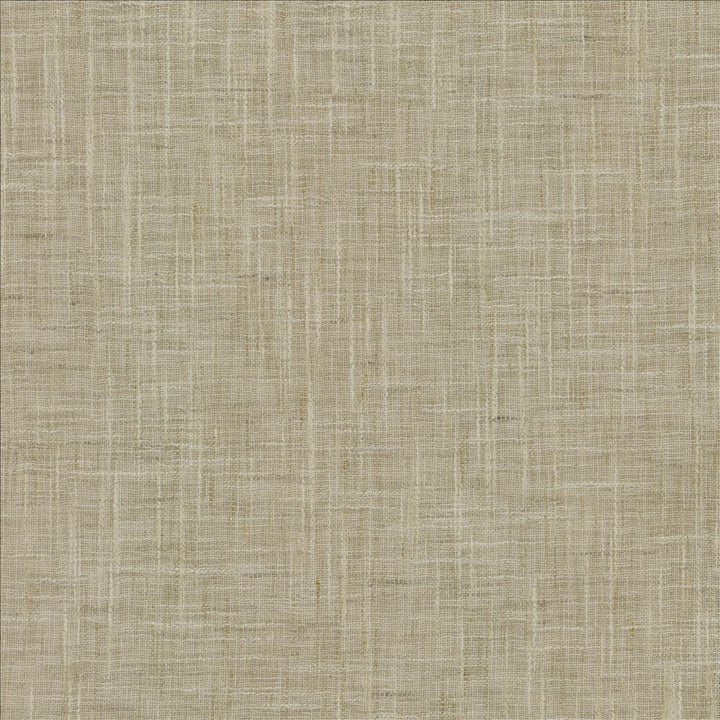 Mina Texture Taupe by Kasmir Fabric 5181 100% Polyester
 INDIA </p><p>Repeat: Horizontal: N/A and Vertical: N/A 54 - Fabric Carolina -
