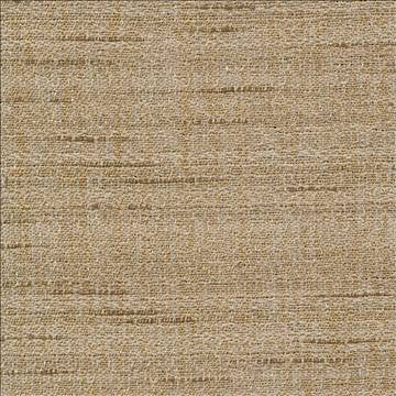 Ming Tea Stain by Kasmir Fabric 1378 100% Polyester INDIA 15,000 Wyzenbeek Double Rubs H: N/A, V: N/A 54 - Fabric Carolina - Kasmir