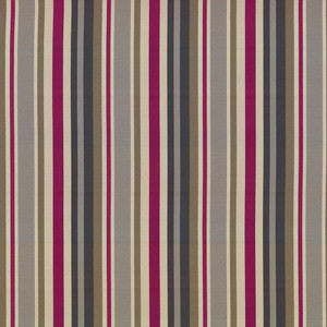 Miranda Stripe Treasure by Kasmir Fabric
