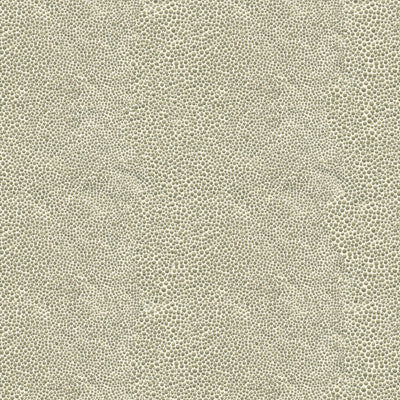 Mirrored Image Silver by Kravet Couture Fabric