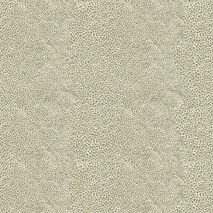 Mirrored Image Silver by Kravet Couture Fabric