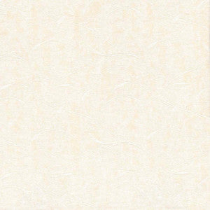 Mocambo Bisque by Kasmir Fabric