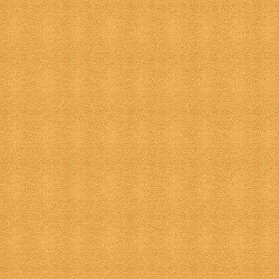 Kravet Design Moccasin-1616 by Kravet Design Fabric