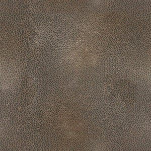 Modica Burnished by Kravet Couture Fabric
