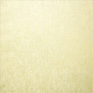 Modish Champagne by Kasmir Fabric