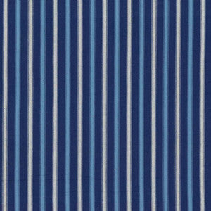 Mojanda Stripe Porcelain by Kasmir Fabric