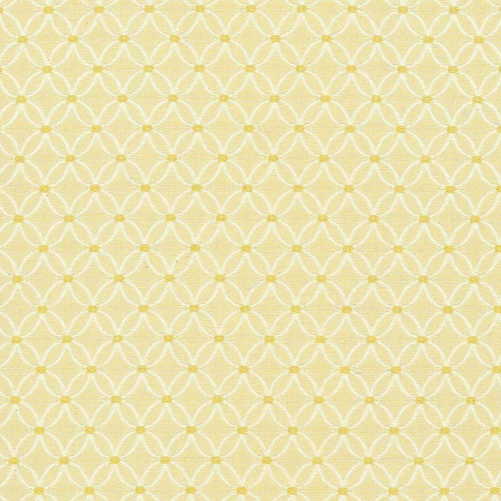 Monticello Champagne by Kasmir Fabric 5066 CHINA 24,000 Wyzenbeek Double Rubs H: 1 inches, V:1 2/8 inches 56 - Fabric Carolina - Kasmir