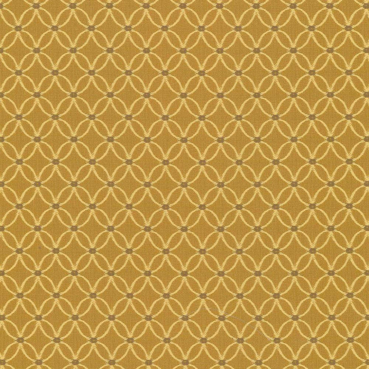 Monticello Saffron by Kasmir Fabric 5069 CHINA 24,000 Wyzenbeek Double Rubs H: 1 inches, V:1 2/8 inches 56 - Fabric Carolina - Kasmir