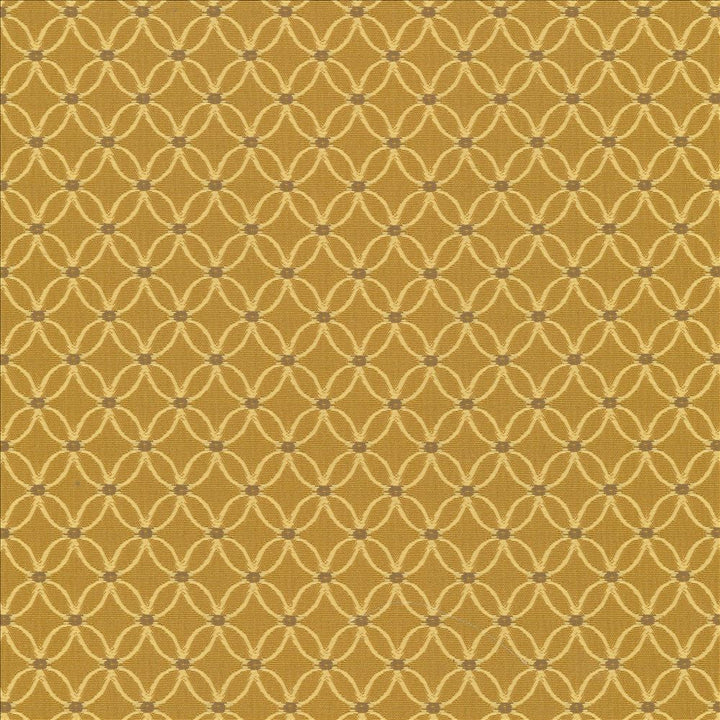 Monticello Saffron by Kasmir Fabric 5069 100% Polyester
 CHINA 24,000 Wyzenbeek Double Rubs </p><p>Repeat: Horizontal: 1 inches and Vertical: 1 2/8 inches 56 - Fabric Carolina -