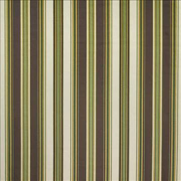 Montvue Walnut by Kasmir Fabric 1403 100% Cotton KOREA 10,000 Wyzenbeek Double Rubs H: 13 4/8 inches, V: N/A 54 - 55 - Fabric Carolina - Kasmir