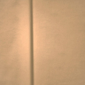 Yorkshire Ivory by Mitchell Fabric