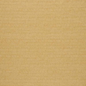 Director Chamois by Mitchell Fabric