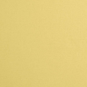 Daffy Cream by Mitchell Fabric