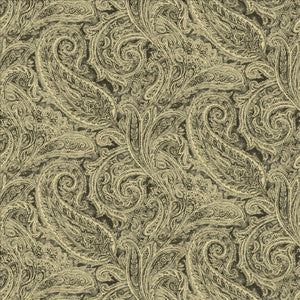 Museum Charcoal by Kasmir Fabric