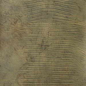 Kravet Design Namaqua-3 by Kravet Design Fabric
