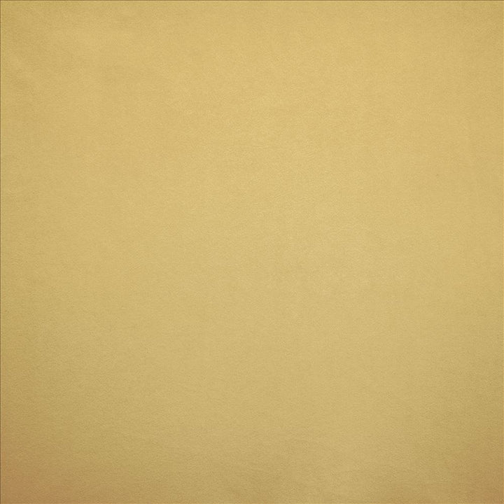 Nampara Antique by Kasmir Fabric 5167 100% Polyester
 CHINA 105,000 Wyzenbeek Double Rubs </p><p>Repeat: Horizontal: N/A and Vertical: N/A 58 - Fabric Carolina -