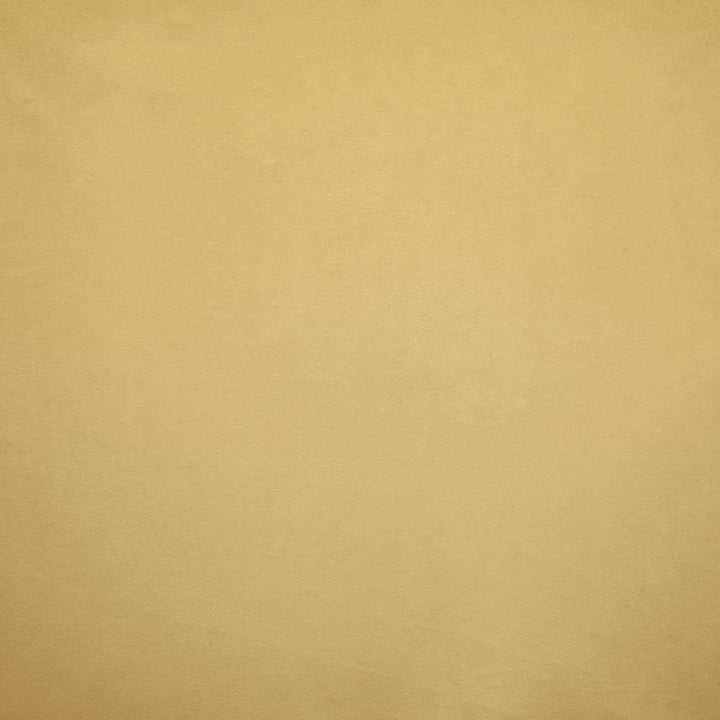 Nampara Antique by Kasmir Fabric 5167 100% Polyester
 CHINA </p><p>Repeat: Horizontal: N/A and Vertical: N/A 58 - Fabric Carolina -