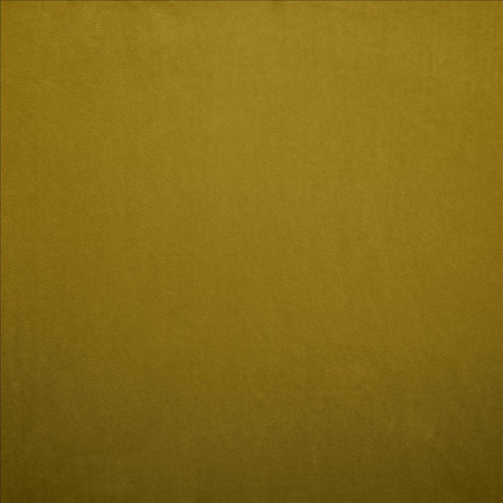 Nampara Antique Gold  by Kasmir Fabric See sample 100% Polyester
 CHINA 105,000 Wyzenbeek Double Rubs </p><p>Repeat: Horizontal: N/A and Vertical: N/A 58  - Fabric Carolina -