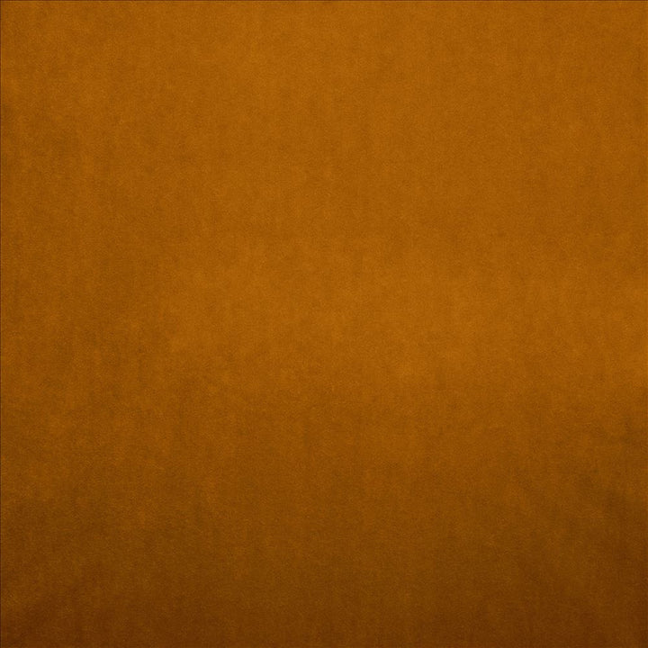 Nampara Apricot by Kasmir Fabric 5167 100% Polyester
 CHINA 105,000 Wyzenbeek Double Rubs Horizontal: N/A and Vertical: N/A 58 - Fabric Carolina -