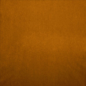 Nampara Apricot by Kasmir Fabric