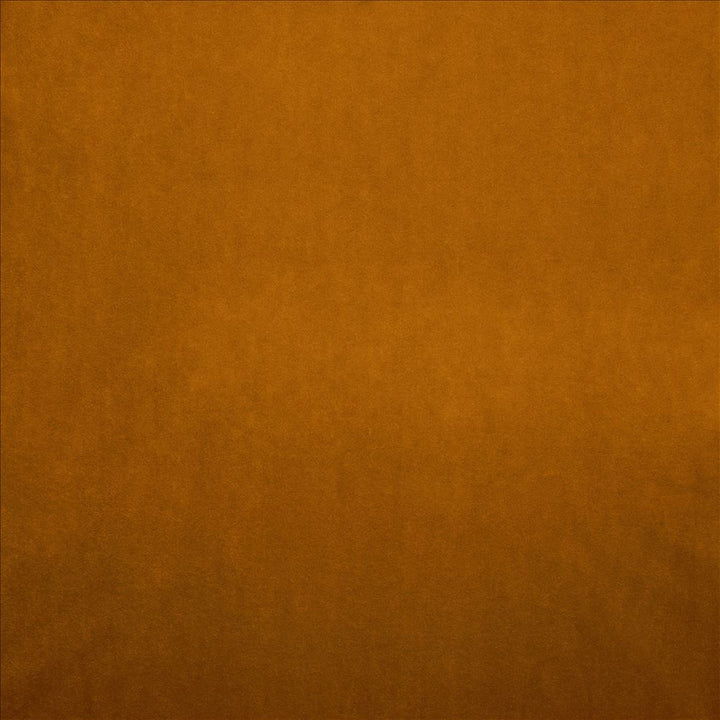 Nampara Apricot by Kasmir Fabric 5167 100% Polyester
 CHINA 105,000 Wyzenbeek Double Rubs </p><p>Repeat: Horizontal: N/A and Vertical: N/A 58 - Fabric Carolina -