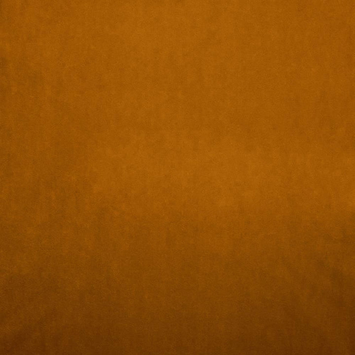 Nampara Apricot by Kasmir Fabric 5167 100% Polyester
 CHINA </p><p>Repeat: Horizontal: N/A and Vertical: N/A 58 - Fabric Carolina -