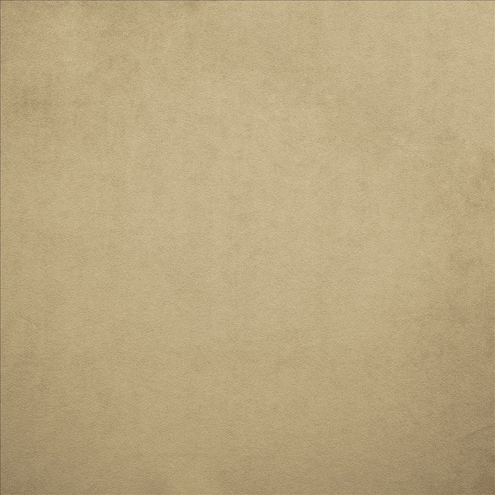 Nampara Beige by Kasmir Fabric 5167 100% Polyester
 CHINA 105,000 Wyzenbeek Double Rubs Horizontal: N/A and Vertical: N/A 58 - Fabric Carolina -