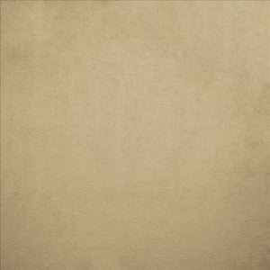 Nampara Beige by Kasmir Fabric