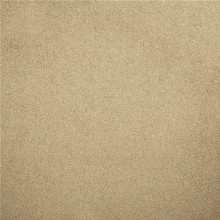 Nampara Beige by Kasmir Fabric 5167 100% Polyester
 CHINA 105,000 Wyzenbeek Double Rubs </p><p>Repeat: Horizontal: N/A and Vertical: N/A 58 - Fabric Carolina -