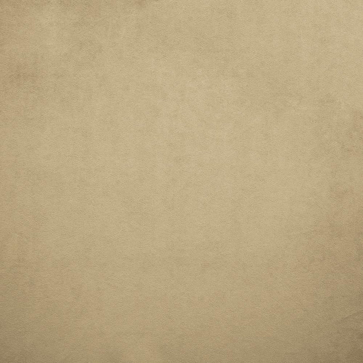 Nampara Beige by Kasmir Fabric 5167 100% Polyester
 CHINA </p><p>Repeat: Horizontal: N/A and Vertical: N/A 58 - Fabric Carolina -