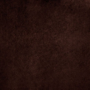 Nampara Brown by Kasmir Fabric