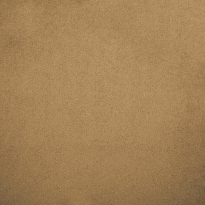Nampara Cappuccino by Kasmir Fabric 5167 100% Polyester
 CHINA </p><p>Repeat: Horizontal: N/A and Vertical: N/A 58 - Fabric Carolina -