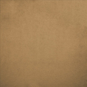 Nampara Cappuccino by Kasmir Fabric