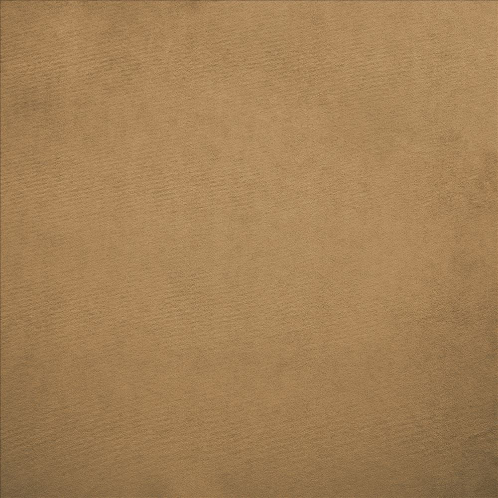 Nampara Cappuccino by Kasmir Fabric 5167 100% Polyester
 CHINA </p><p>Repeat: Horizontal: N/A and Vertical: N/A 58 - Fabric Carolina -