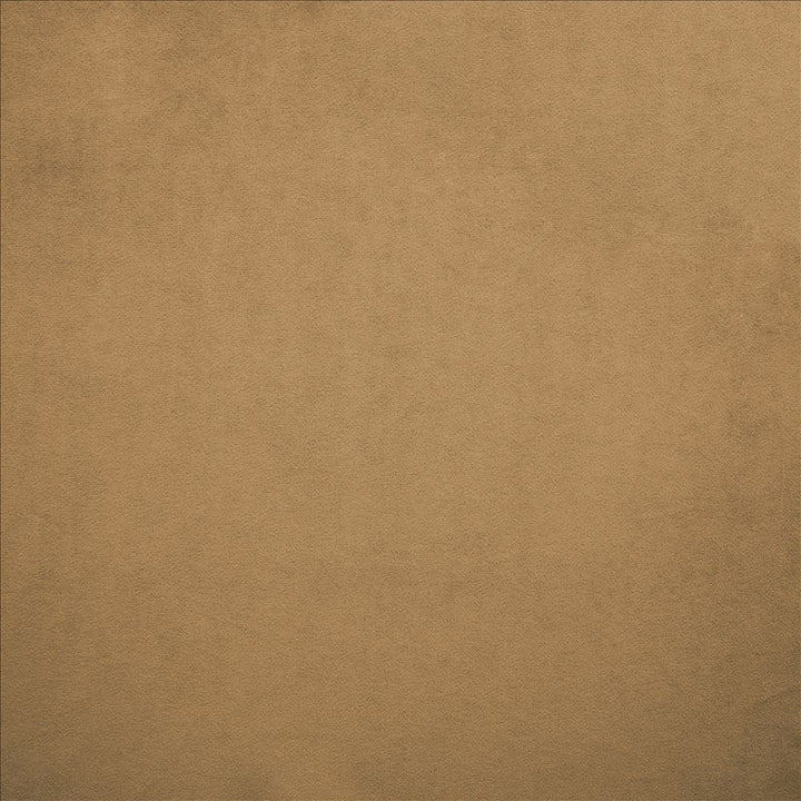 Nampara Cappuccino by Kasmir Fabric 5167 100% Polyester
 CHINA </p><p>Repeat: Horizontal: N/A and Vertical: N/A 58 - Fabric Carolina -